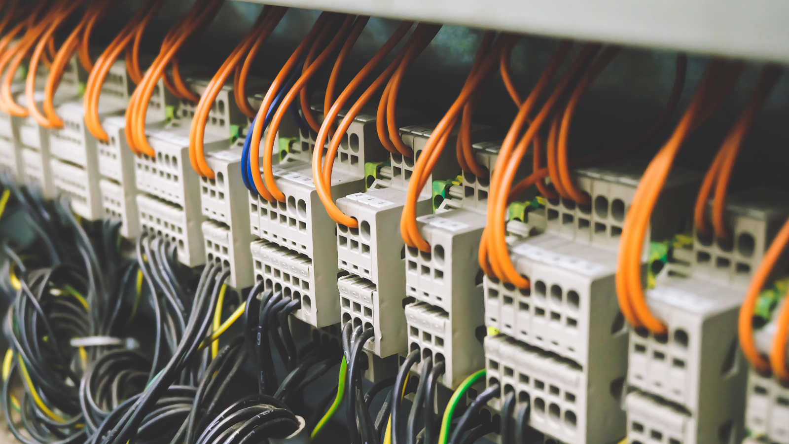 Untitled _1600 × 900px_ _3_